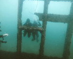 Гмуркане от лодка за абсолютно начинаещи - гмурнете се в дълбините на Черно море край Созопол от Макароон