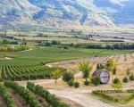 Изживейте едно необикновено преживяване с офроуд с АТВ и пикник за двама в Пловдив от Makaroon Изживейте едно необикновено преживяване с офроуд с АТВ и пикник за двама в Пловдив от Makaroon