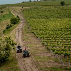 Off-road adventure: 2-hour high-end ATV tour for one person near the village of Ustina, Plovdiv Off-road adventure: 2-hour high-end ATV tour for one person near the village of Ustina, Plovdiv
