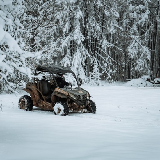 Влезте в една своеобразна зимна приказка с разходка с бъги около Пловдив от Makaroon