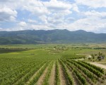 Съчетайте полезното с приятното с Разходка с електрически велосипед под наем + пикник за двама в Пловдив от Makaroon Съчетайте полезното с приятното с Разходка с електрически велосипед под наем + пикник за двама в Пловдив от Makaroon