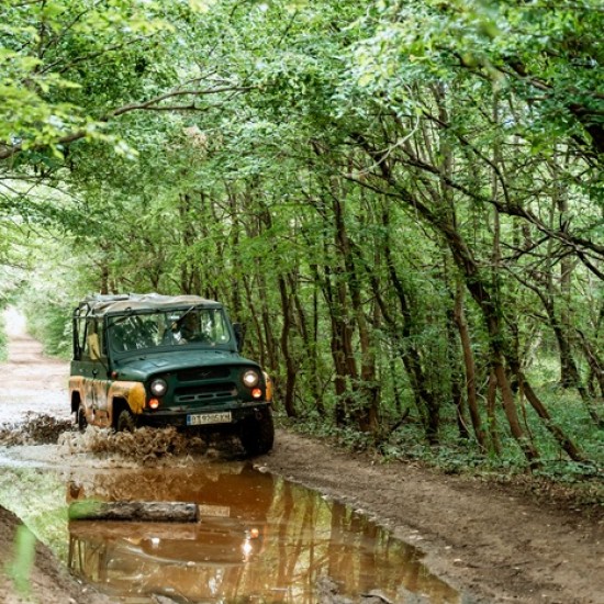 Впуснете се в едно нестандартно приключение с Джип сафари в района на Велико Търново от Makaroon