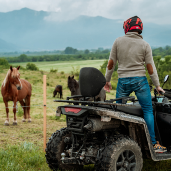 В близост до природата с 3-часов конен преход и АТВ разходка в района на Пловдив Makaroon