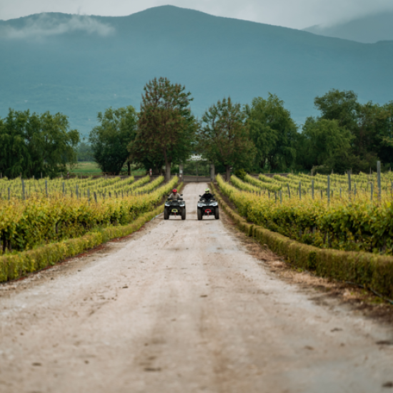 В близост до природата с 3-часов конен преход и АТВ разходка в района на Пловдив Makaroon