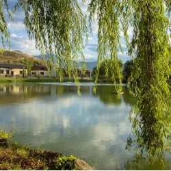 Нощувка в двойна стая с балкон във вила Юстина и офроуд с АТВ за двама в Пловдив