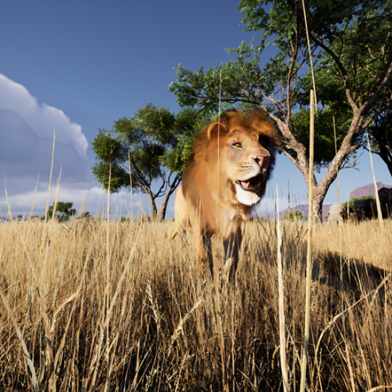 Създания и светове оживяват около Вас с Посещение на Hologram Zoo Sofia от Makaroon Създания и светове оживяват около Вас с Посещение на Hologram Zoo Sofia от Makaroon