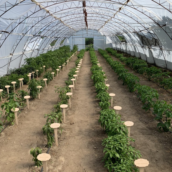 Тур и вечеря в Лютата ферма - парещо преживяване за любителите на пикантните храни от Makaroon