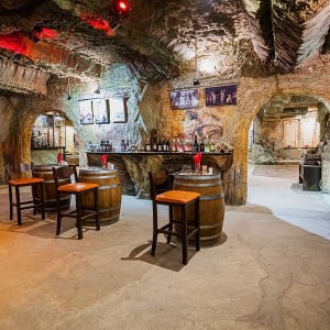 Entrance to the wine museum in the town of Melnik with tasting of 5 types of wine included Entrance to the wine museum in the town of Melnik with tasting of 5 types of wine included