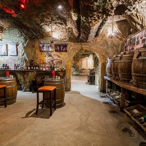 Entrance to the wine museum in the town of Melnik with tasting of 5 types of wine included Entrance to the wine museum in the town of Melnik with tasting of 5 types of wine included