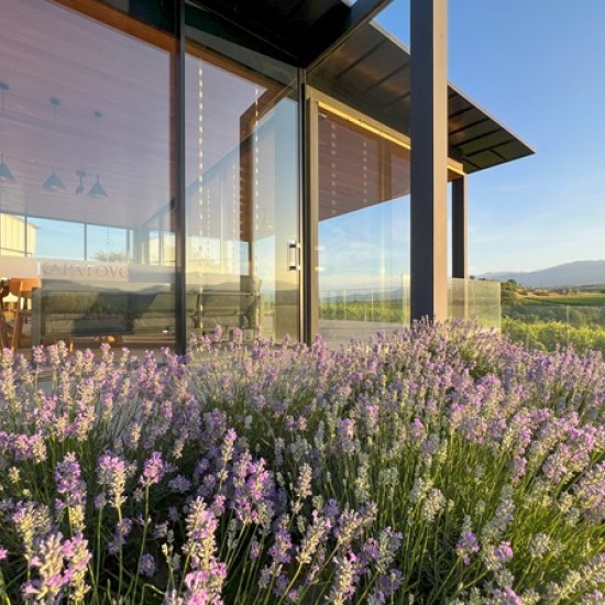 Организирайте си едно пълноценно бягство за двама с Кино и Вино в Мелник - 2 нощувки + дегустация и турове от Makaroon Организирайте си едно пълноценно бягство за двама с Кино и Вино в Мелник - 2 нощувки + дегустация и турове от Makaroon