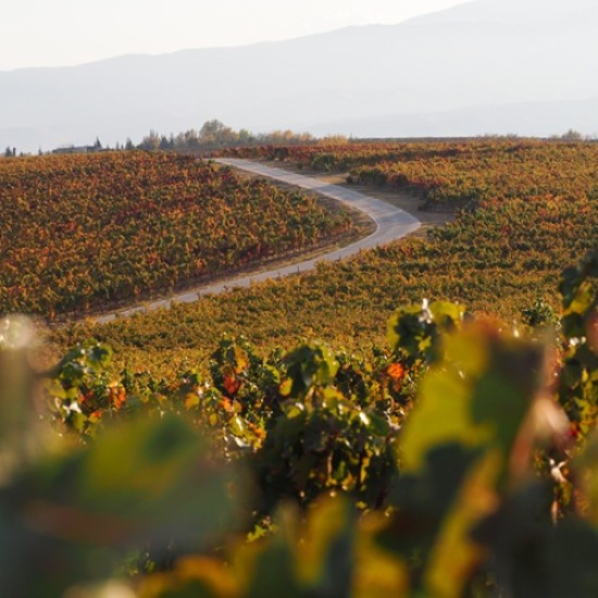 Организирайте си едно пълноценно бягство за двама с Кино и Вино в Мелник - 2 нощувки + дегустация и турове от Makaroon