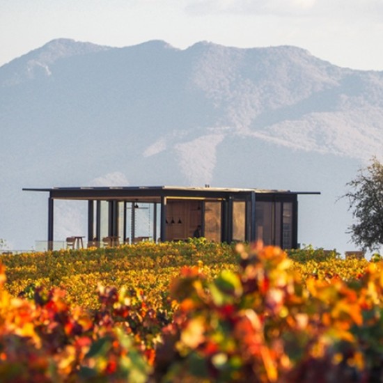 Организирайте си едно пълноценно бягство за двама с Кино и Вино в Мелник - 2 нощувки + дегустация и турове от Makaroon Организирайте си едно пълноценно бягство за двама с Кино и Вино в Мелник - 2 нощувки + дегустация и турове от Makaroon