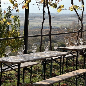 Кино и Вино за двама в Мелник - 2 нощувки със закуски и вечери, релакс зона и дегустация на вино + турове с включен транспорт 