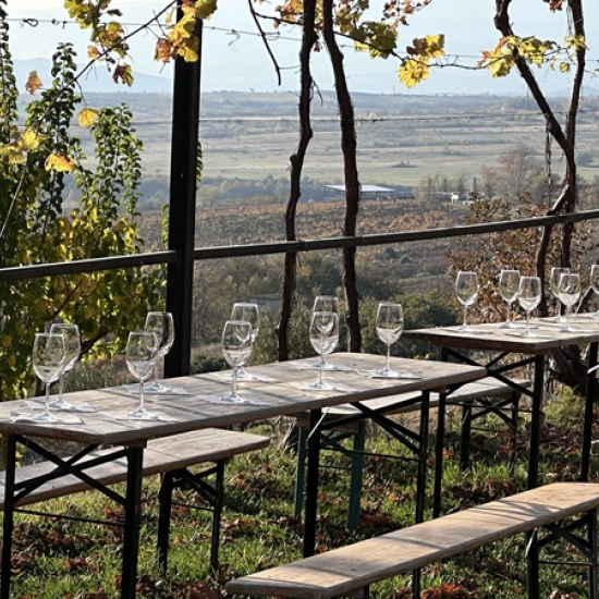 Организирайте си едно пълноценно бягство за двама с Кино и Вино в Мелник - 2 нощувки + дегустация и турове от Makaroon Организирайте си едно пълноценно бягство за двама с Кино и Вино в Мелник - 2 нощувки + дегустация и турове от Makaroon