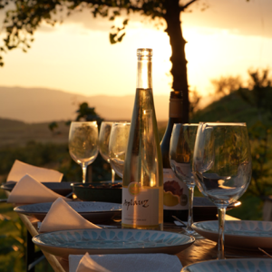 Кино и Вино за двама в Мелник - 2 нощувки със закуски и вечери, релакс зона и дегустация на вино + турове с включен транспорт 