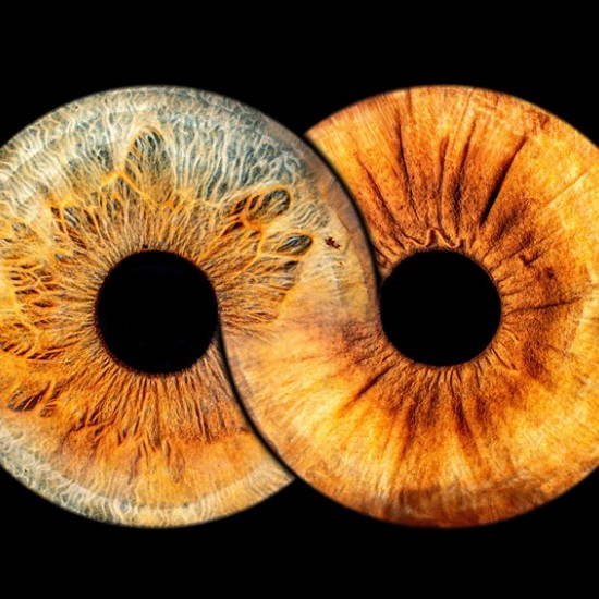 Частица от душата в картина с Ирисова фотография в Плевен от Makaroon