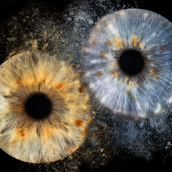 Изкуство и индивидуалност с Ирисова фотография в Русе - заснемане на един ирис