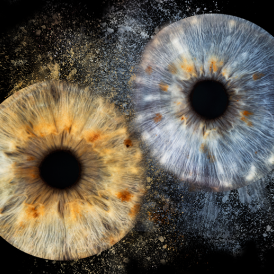 Направете (си) уникален подарък с Ирисова фотография в Русе от Makaroon