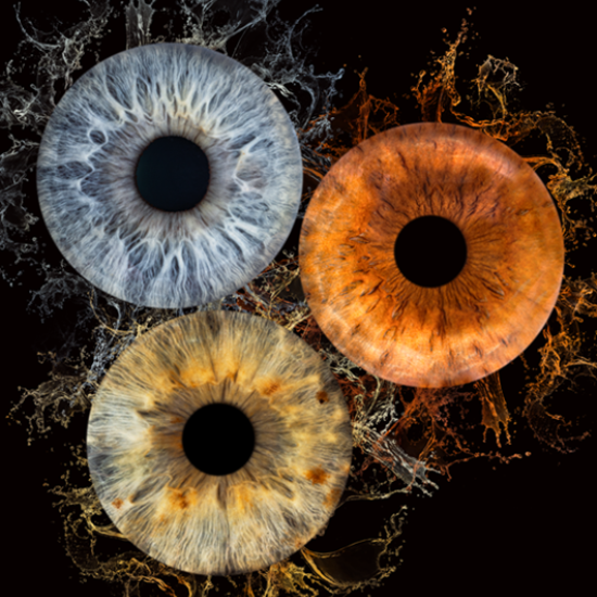 Направете (си) уникален подарък с Ирисова фотография в Русе от Makaroon