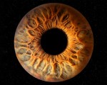 Направете (си) подарък със смисъл с Ирисова фотография в Стара Загора от Makaroon
