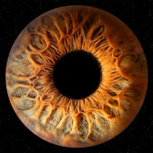  Ирисова фотография в Стара Загора – изкуство, скрито в очите - Заснемане на един ирис в рамка