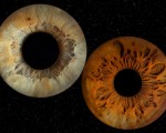 Направете (си) подарък със смисъл с Ирисова фотография в Стара Загора от Makaroon