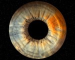 Направете (си) подарък със смисъл с Ирисова фотография в Стара Загора от Makaroon