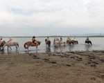 Красив спомен за цялото семейство - урок по езда продължаващ в приятна разходка | Makaroon.bg