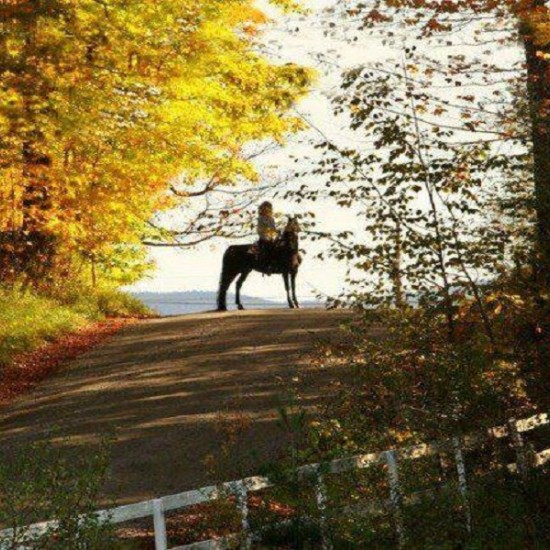 Индивидуален урок по езда, завършващ с разходка | Makaroon.bg