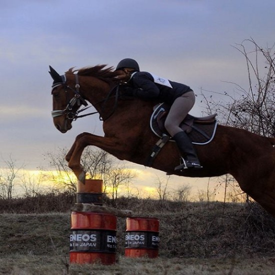 Индивидуален урок по езда, завършващ с разходка | Makaroon.bg