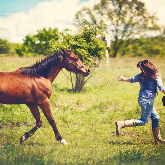 Индивидуален урок по езда, завършващ с разходка | Makaroon.bg