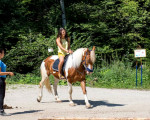 Индивидуален урок по езда на манеж | Makaroon.bg