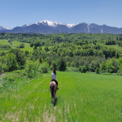 Horseback riding - in time with the nature of Borovets Horseback riding - in time with the nature of Borovets