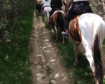 Романтична разходка с кон и обяд сред дивата природа на Боровец от Макароон