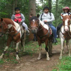 Романтична разходка за двама на кон и обяд сред дивата природа на Боровец