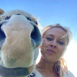 Конна езда в необятната природа на Стара планина и с. Кърнаре Конна езда в необятната природа на Стара планина и с. Кърнаре