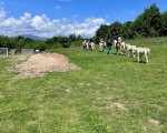 Спокойствие, красота и... коне - насладете се на Конна езда из природата на Стара планина и с. Кърнаре от Makaroon Спокойствие, красота и... коне - насладете се на Конна езда из природата на Стара планина и с. Кърнаре от Makaroon