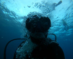 Изследвайте дълбините с Курс по гмуркане “PADI Open Water Diver” от Makaroon