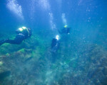 Explore the depths with the PADI Open Water Diver course from Makaroon