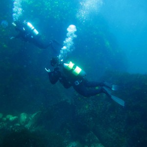 Навлезте в света на гмуркането с „PADI Discover Scuba Diving в море“ в района на гр. Поморие Навлезте в света на гмуркането с „PADI Discover Scuba Diving в море“ в района на гр. Поморие