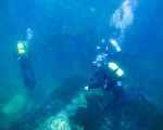 Изследвайте дълбините на морето с „PADI Discover Scuba Diving в море“ от Makaroon