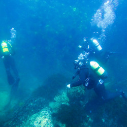 Навлезте в света на гмуркането с „PADI Discover Scuba Diving в море“ в района на гр. Поморие Навлезте в света на гмуркането с „PADI Discover Scuba Diving в море“ в района на гр. Поморие