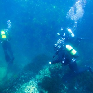 Навлезте в света на гмуркането с „PADI Discover Scuba Diving в море“ в района на гр. Поморие Навлезте в света на гмуркането с „PADI Discover Scuba Diving в море“ в района на гр. Поморие
