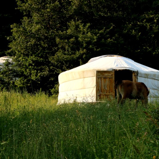 Уикенд като прабългарин за двама: Нощувка в юрта, яздене на кон и стрелба с лък | Makaroon.bg
