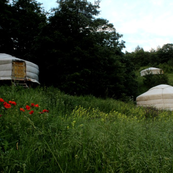 Уикенд като прабългарин за двама: Нощувка в юрта, яздене на кон и стрелба с лък | Makaroon.bg