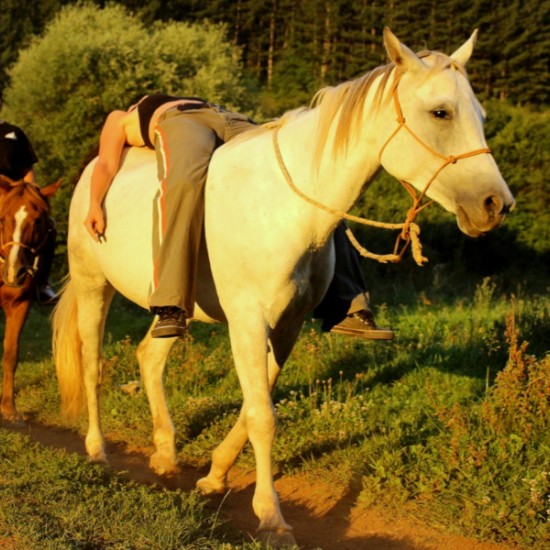 Уикенд като прабългарин за двама: Нощувка в юрта, яздене на кон и стрелба с лък | Makaroon.bg
