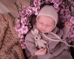 Capture the most precious moments of life with a Professional Newborn Photoshoot from Makaroon