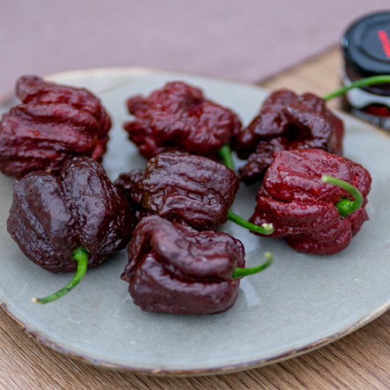 Оригинален подарък - лют тур за двама | Makaroon.bg