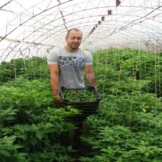 Оригинален подарък - дегустация на продукти от люта ферма Посещение на люта ферма, беседа и дегустация | Makaroon.bg