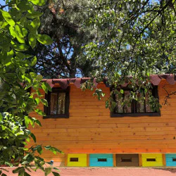 Станете част от кошера с „Пчелна стая“  Станете част от кошера с „Пчелна стая“